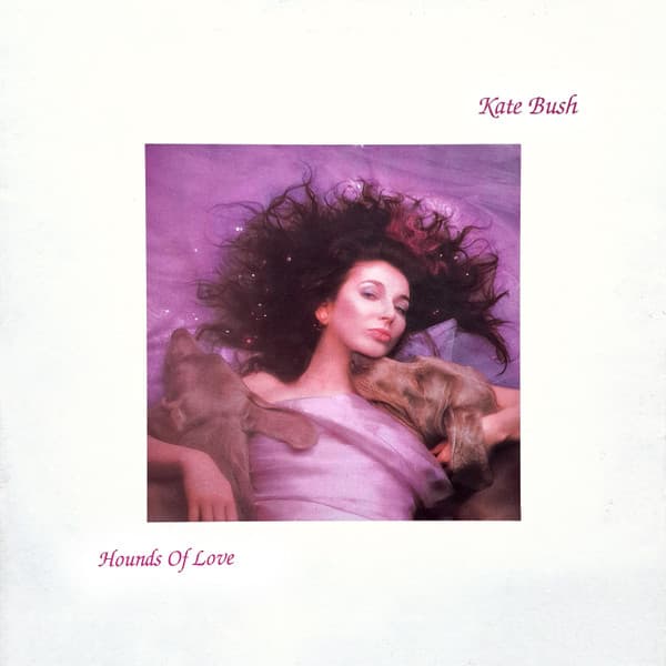 Hounds Of Love